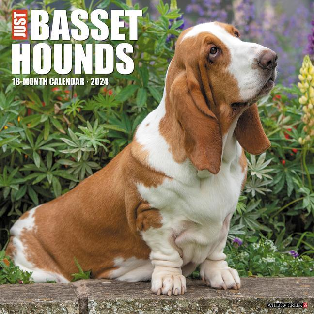 Kalendár/Diár CAL 24 BASSET HOUNDS WALL