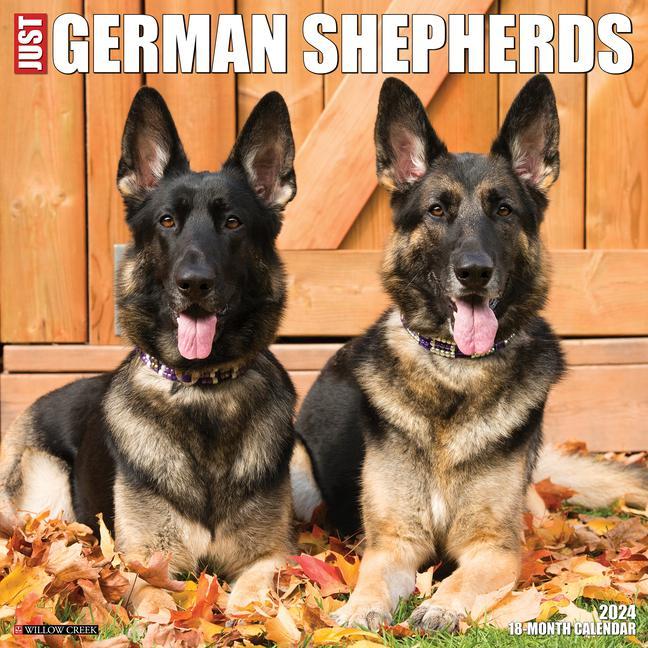 Calendar / Agendă CAL 24 GERMAN SHEPHERDS WALL