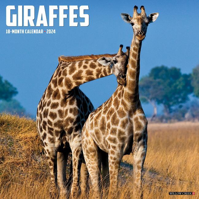 Naptár/Határidőnapló CAL 24 GIRAFFES WALL