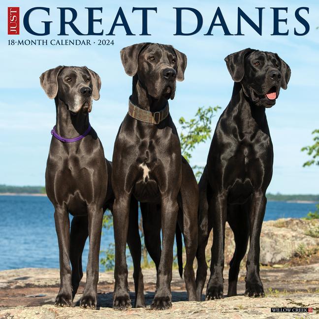 Calendar/Diary CAL 24 GREAT DANES WALL