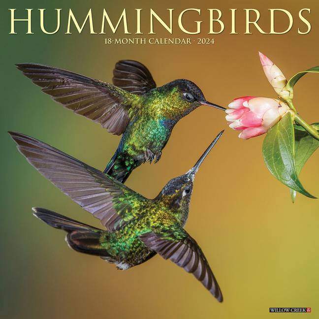 Calendar / Agendă CAL 24 HUMMINGBIRDS WALL