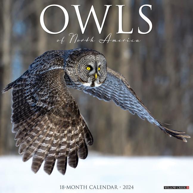 Calendar / Agendă CAL 24 OWLS WALL
