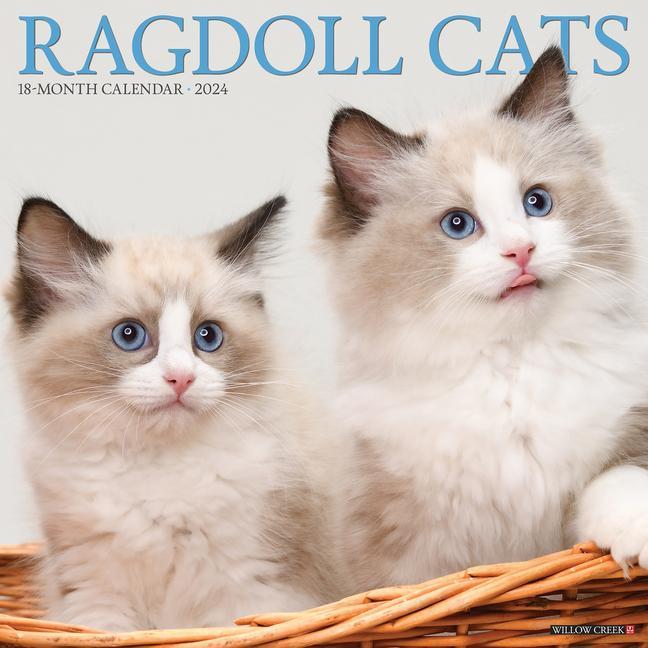 Naptár/Határidőnapló CAL 24 RAGDOLL CATS WALL