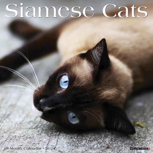 Calendar/Diary CAL 24 SIAMESE CATS WALL