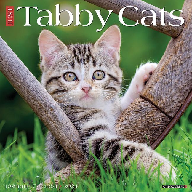 Calendar / Agendă CAL 24 TABBY CATS WALL