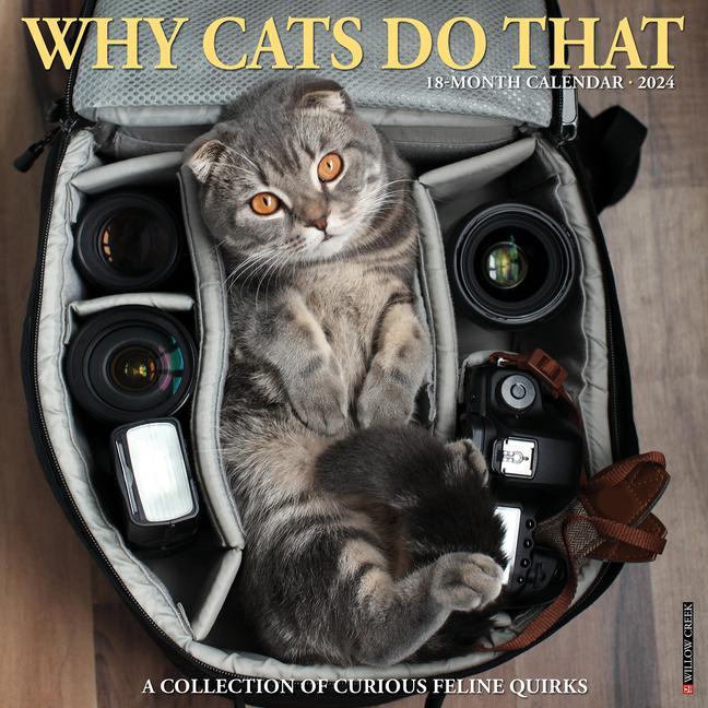 Calendar / Agendă CAL 24 WHY CATS DO THAT WALL