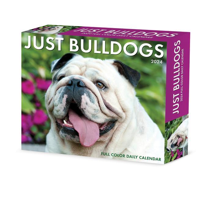 Calendar / Agendă CAL 24 BULLDOGS BOX