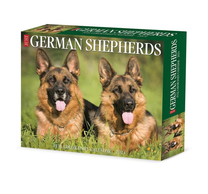 Naptár/Határidőnapló CAL 24 GERMAN SHEPHERDS BOX
