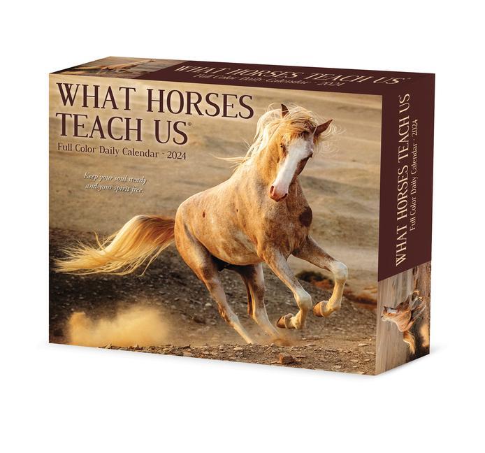 Календар/тефтер CAL 24 WHAT HORSES TEACH US BOX