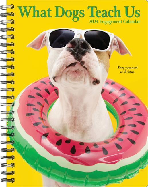 Kalendář/Diář CAL 24 WHAT DOGS TEACH US ENGMT