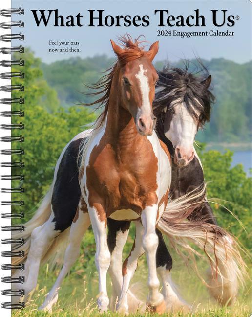 Kalendář/Diář CAL 24 WHAT HORSES TEACH US ENGMT