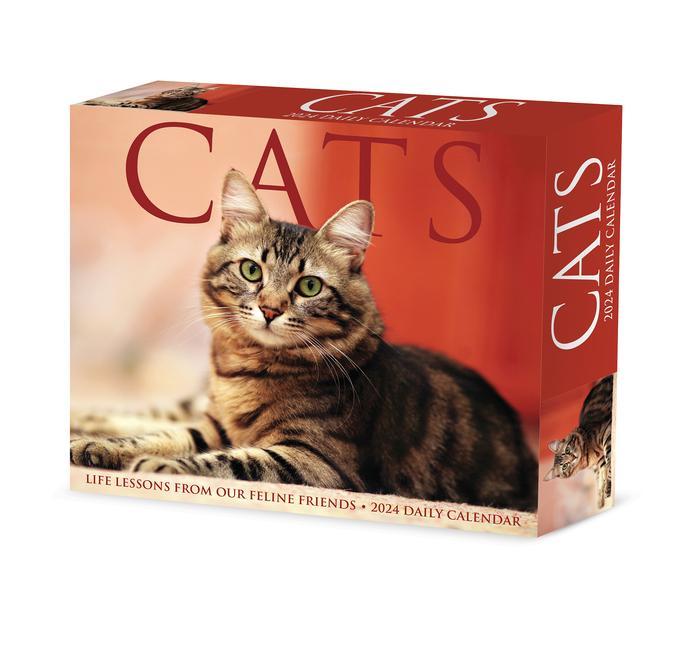 Kalendar/Rokovnik CAL 24 CATS BOX