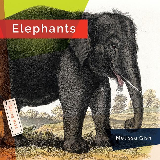 Livre ELEPHANTS GISH MELISSA