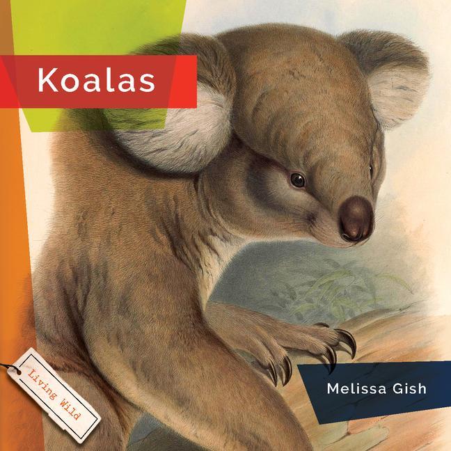 Book KOALAS HANEL RACHAEL