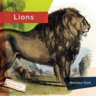 Book LIONS HANEL RACHAEL