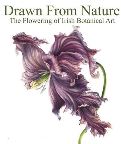 Buch Drawn From Nature Patricia Butler