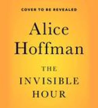 Audio INVISIBLE HOUR HOFFMAN ALICE