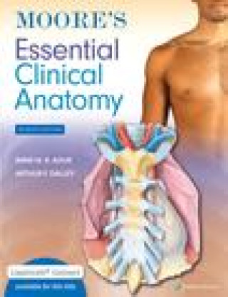 Kniha Moore's Essential Clinical Anatomy Agur
