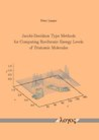 Kniha Jacobi-Davidson Type Methods for Computing Rovibronic Energy Levels of Triatomic Molecules Langer