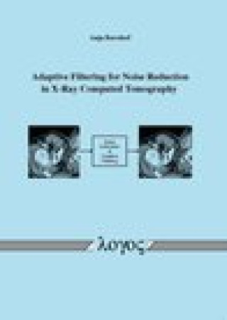 Libro Adaptive Filtering for Noise Reduction in X-Ray Computed Tomography Borsdorf