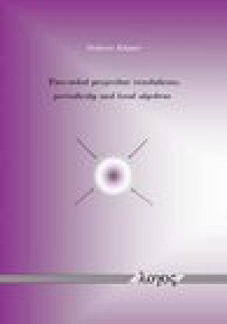 Boek Two-sided projective resolutions, periodicity and local algebras Kupper