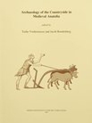 Kniha Archaeology of the Countryside in Medieval Anatolia 