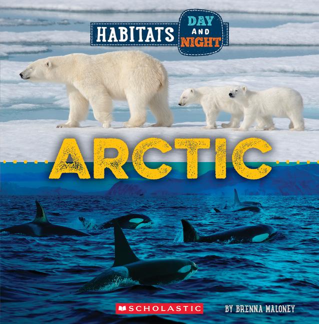 Carte Arctic (Wild World: Habitats Day and Night) 