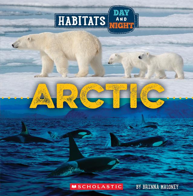 Książka Arctic (Wild World: Habitats Day and Night) 