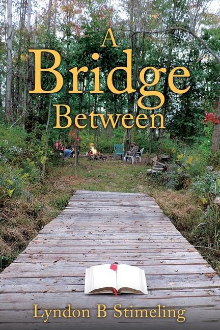 Knjiga A Bridge Between Lyndon B Stimeling
