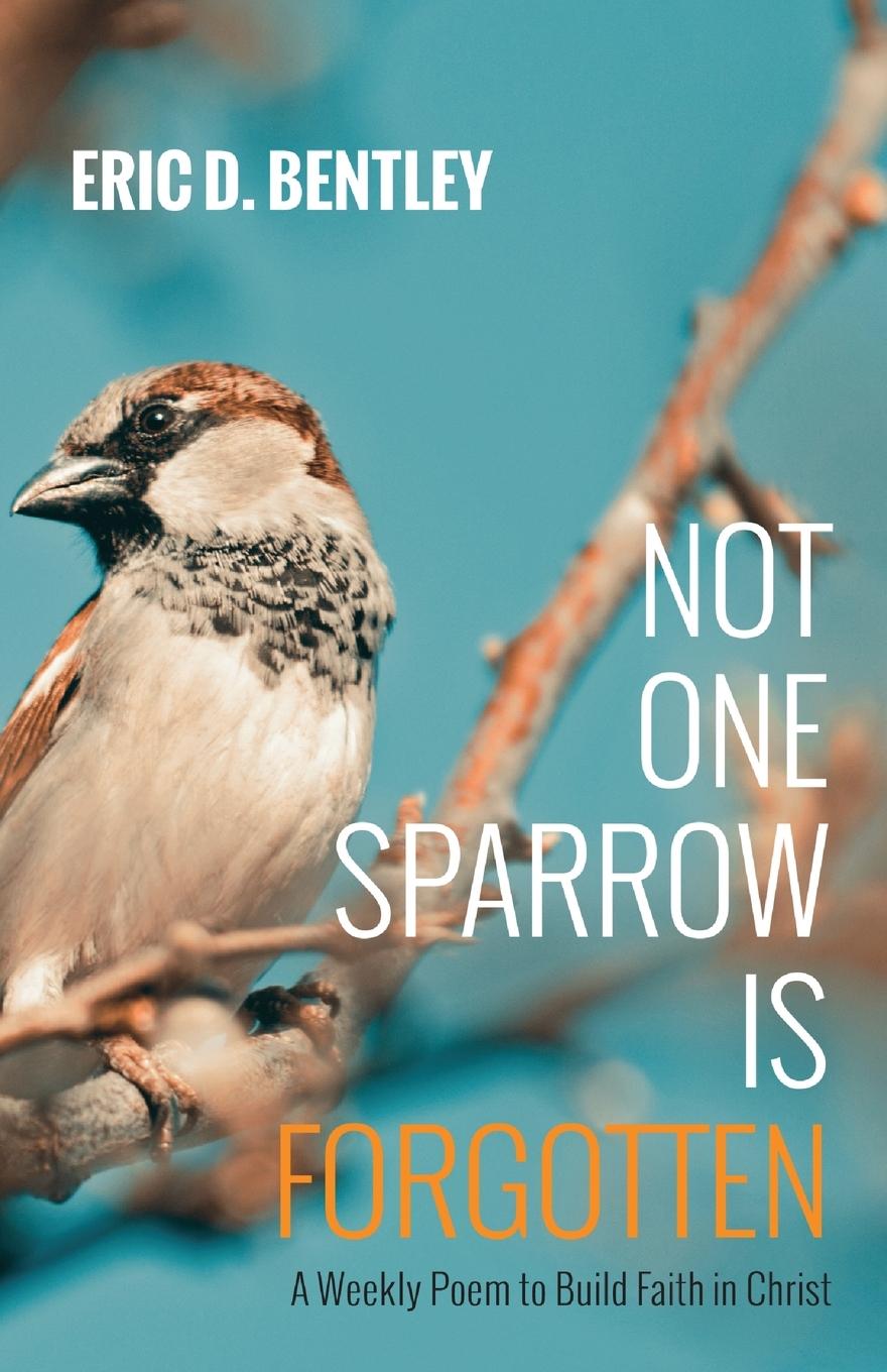 Knjiga Not One Sparrow Is Forgotten Eric D. Bentley