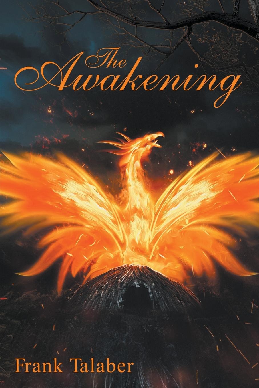 Knjiga The Awakening Frank Talaber