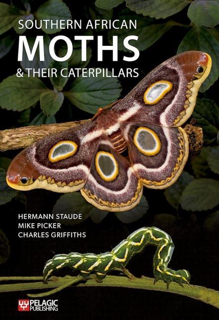 Книга Southern African Moths and Their Caterpillars Mike Picker
