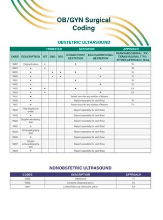 Könyv Ob/GYN Surgical Coding Quick Reference Guide 