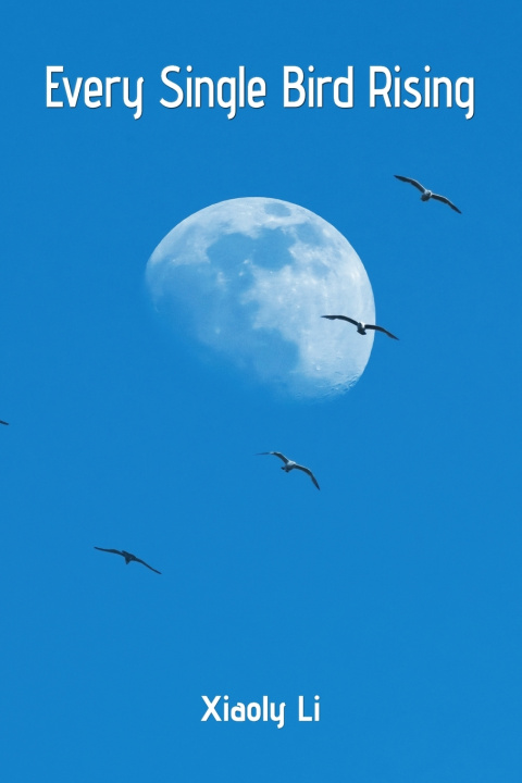 Buch Every Single Bird Rising Robert S. King