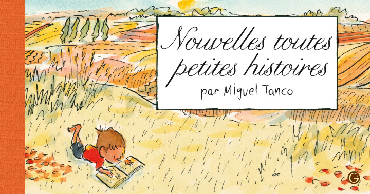 Buch Nouvelles Toutes petites histoires Miguel Tanco