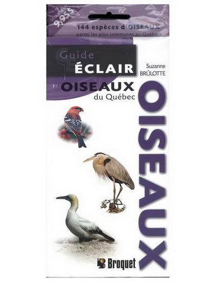 Knjiga GUIDE ECLAIR OISEAUX DU QUEBEC BRULOTTE SUZANNE