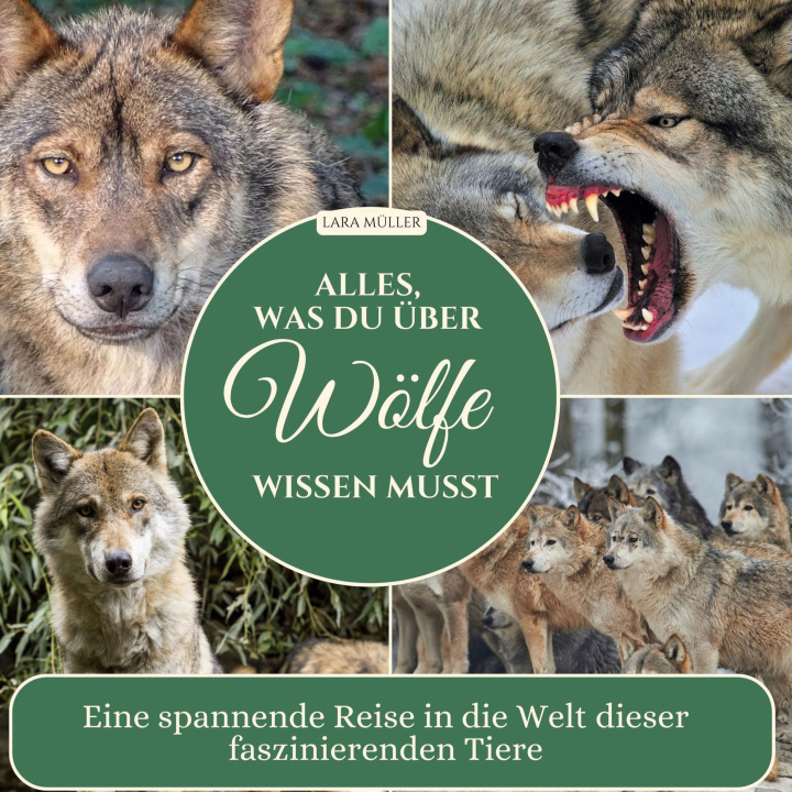 Kniha Alles, was du über Wölfe wissen musst 