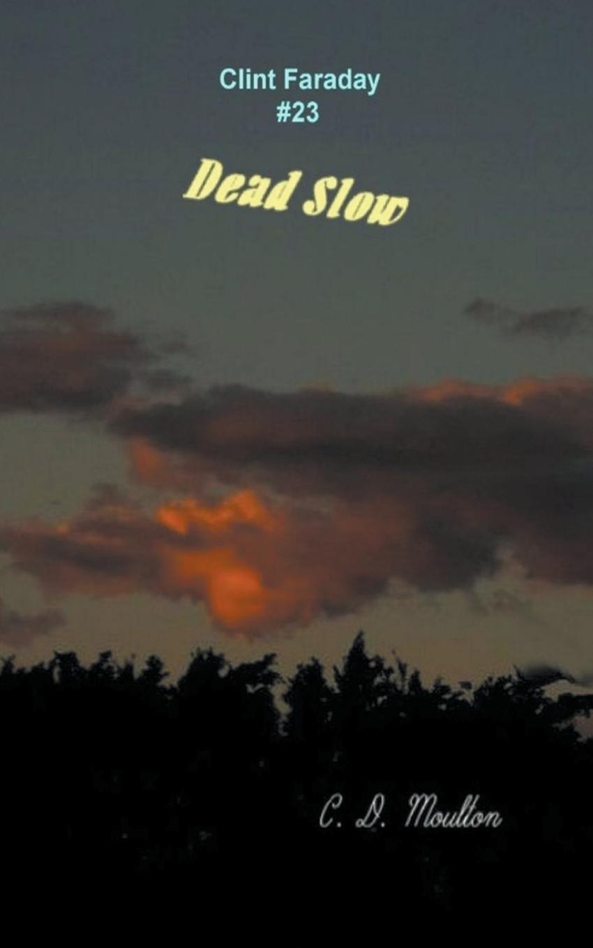 Knjiga Dead Slow C. D. Moulton