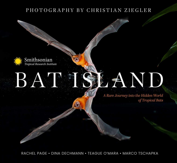 Könyv Bat Island: A Rare Journey Into the Hidden World of Tropical Bats Rachel A. Page