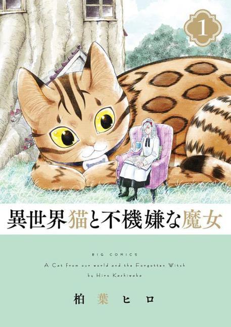 Книга A Cat from Our World and the Forgotten Witch Vol. 1 