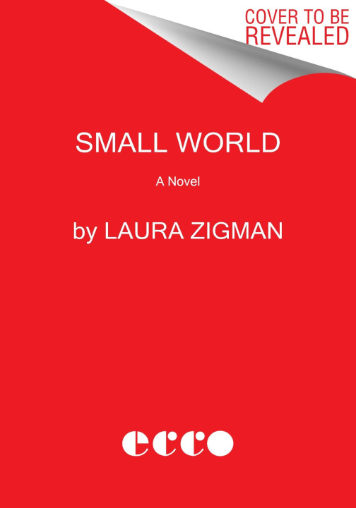 Book Small World Laura Zigman