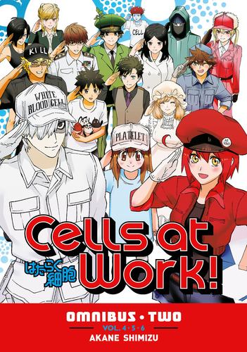 Carte CELLS AT WORK OMNI V02 SHIMIZU AKANE