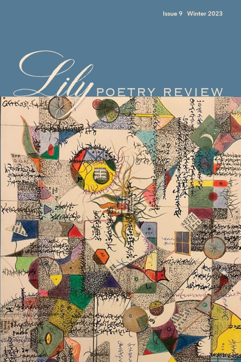 Knjiga Lily Poetry Review Issue 9 eileen cleary