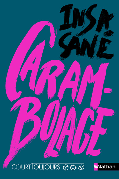Knjiga Carambolage Insa Sané