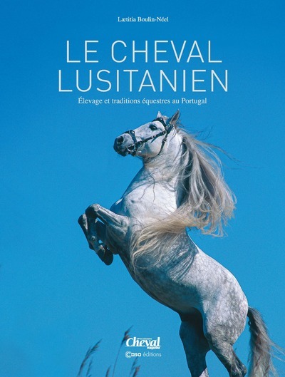 Knjiga Chevaux de spectacles Laëtitia Boulin-Neel