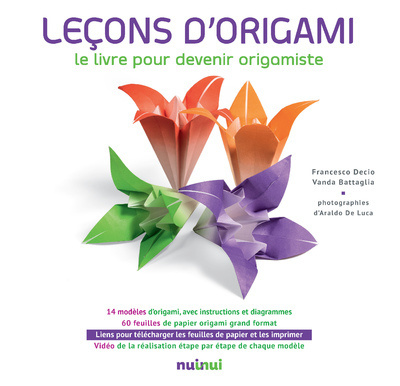 Kniha Leçons d'Origami - Le livre pour devenir origamiste Francesco Decio