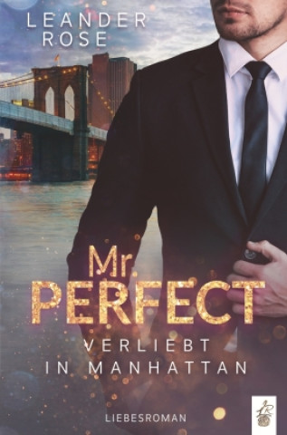 Buch Mr. Perfect Leander Rose