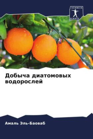 Knjiga Dobycha diatomowyh wodoroslej Amal' Jel'-Baowab