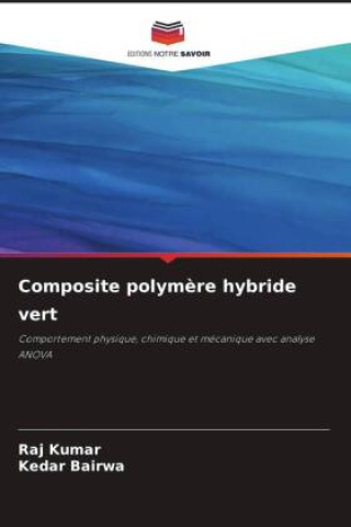 Knjiga Composite polym?re hybride vert Kedar Bairwa
