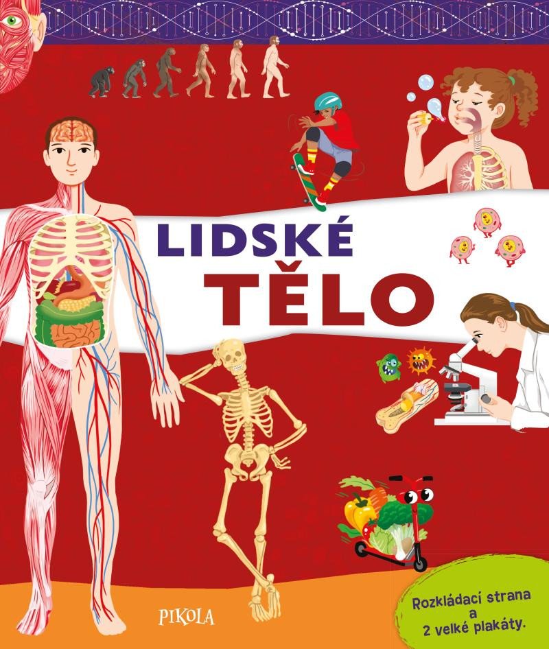 Kniha Lidské tělo JM Claude
